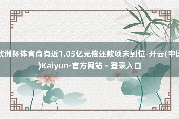 欧洲杯体育尚有近1.05亿元偿还款项未到位-开云(中国)Kaiyun·官方网站 - 登录入口