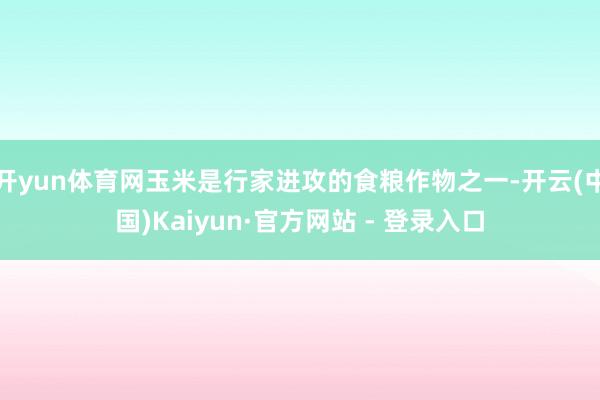 开yun体育网玉米是行家进攻的食粮作物之一-开云(中国)Kaiyun·官方网站 - 登录入口