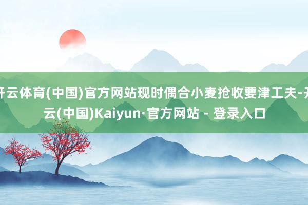 开云体育(中国)官方网站现时偶合小麦抢收要津工夫-开云(中国)Kaiyun·官方网站 - 登录入口