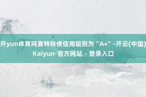 开yun体育网赛特转债信用级别为“A+”-开云(中国)Kaiyun·官方网站 - 登录入口